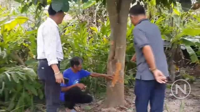 ชาวบ้านผวารอยเท้าประหลาดคล้ายรอยเท้าหมี