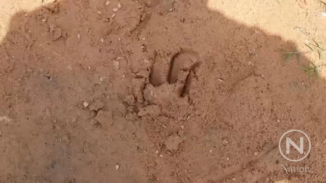 ชาวบ้านผวารอยเท้าประหลาดคล้ายรอยเท้าหมี