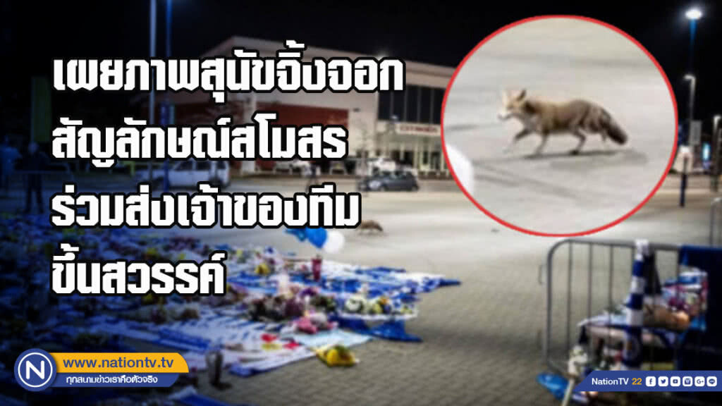 เผยภาพสุนัขจิ้งจอกสัญลักษณ์สโมสร ร่วมส่งเจ้าของทีมขึ้นสวรรค์