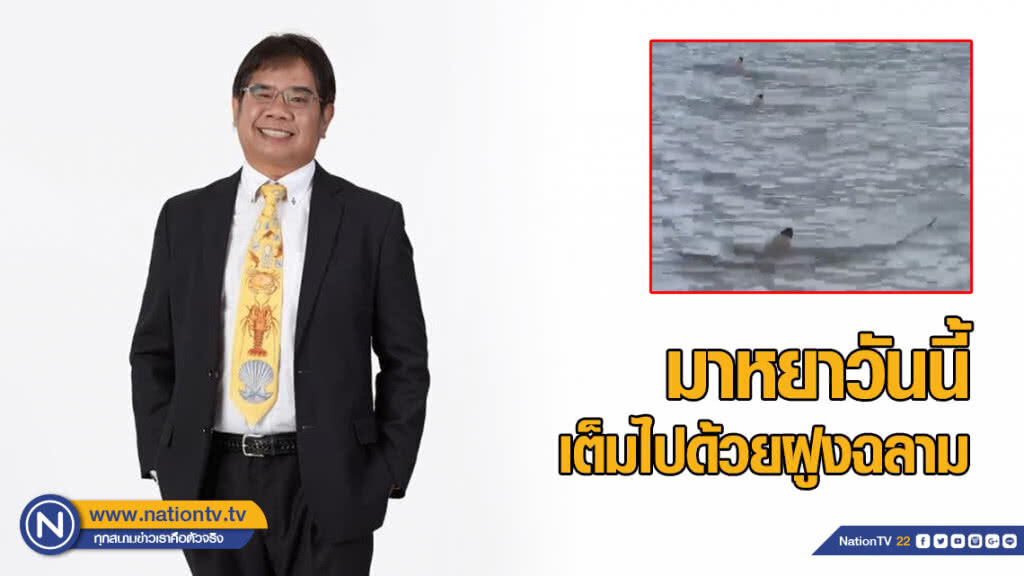 "ดร.ธรณ์" เผยมาหยาวันนี้ เต็มไปด้วยฝูงฉลาม