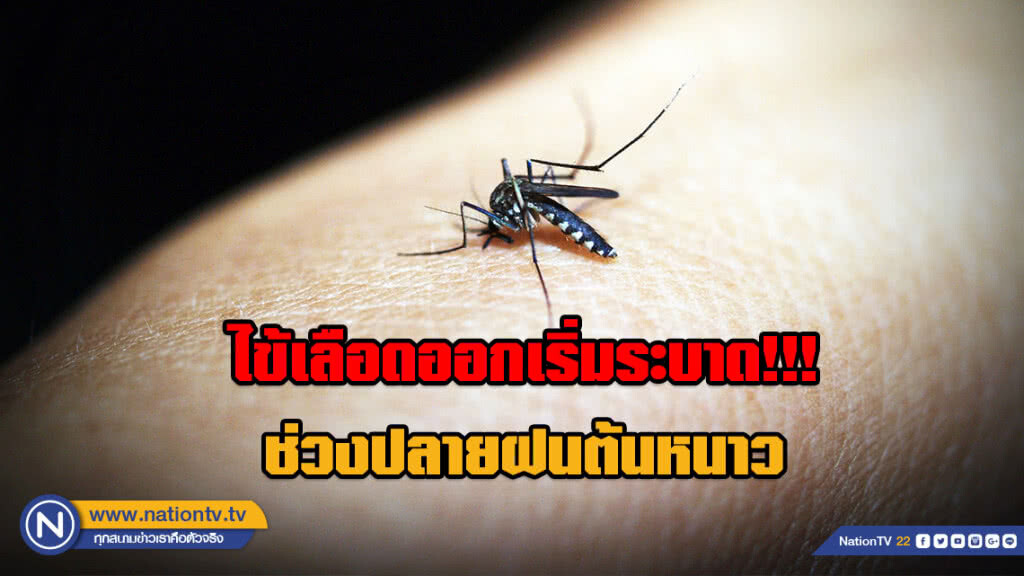 ไข้เลือดออกเริ่มระบาด!!! ช่วงปลายฝนต้นหนาว