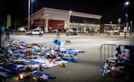 เผยภาพสุนัขจิ้งจอกสัญลักษณ์สโมสร ร่วมส่งเจ้าของทีมขึ้นสวรรค์