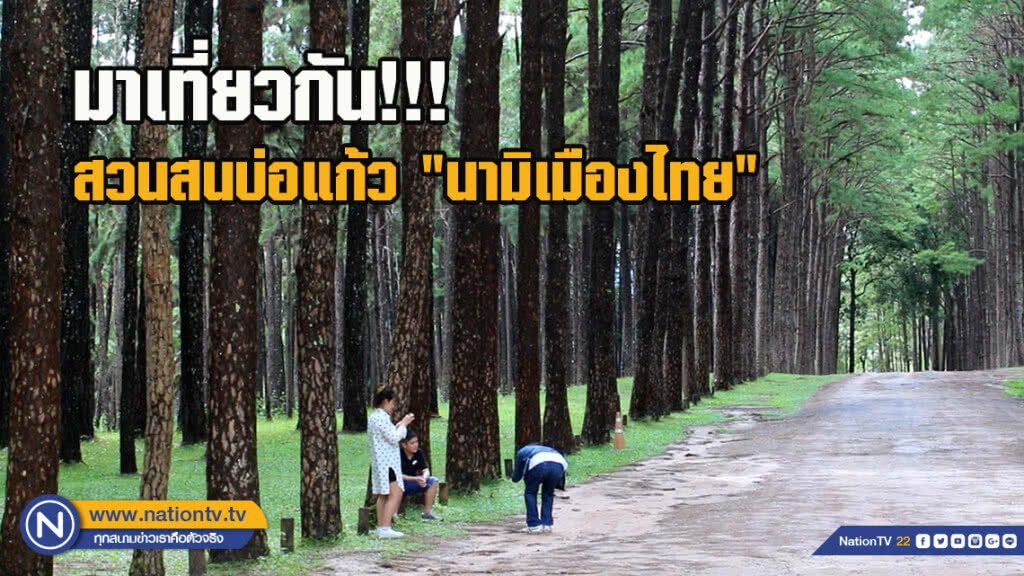 ชวนชมถ่ายรูปสวนสนบ่อแก้ว "นามิเมืองไทย" ชวนชมถ่ายรูปสวนสนบ่อแก้ว "นามิเมืองไทย"