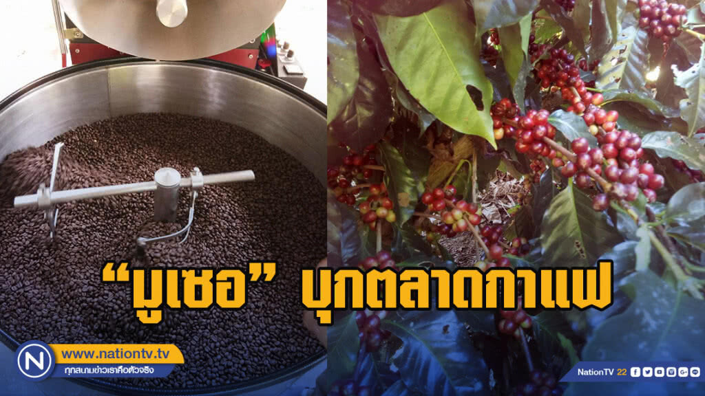 "มูเซอ"บุกตลาดกาแฟสร้างแบรนด์ชูเอกลักษณ์เฉพาะถิ่น