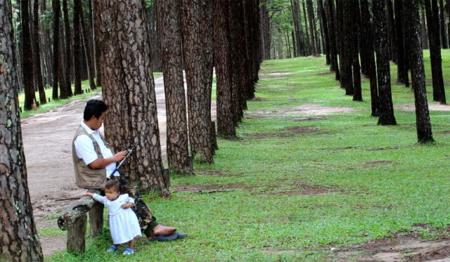 ชวนชมถ่ายรูปสวนสนบ่อแก้ว "นามิเมืองไทย"