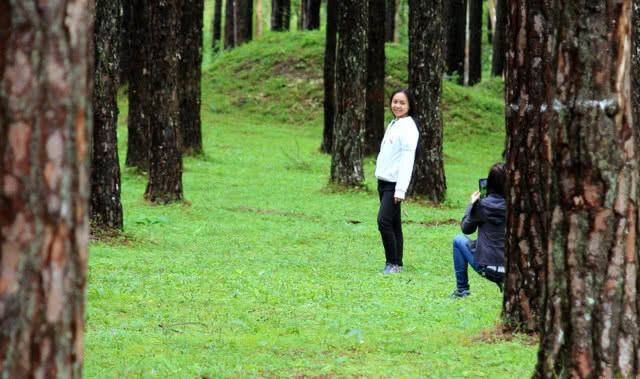 ชวนชมถ่ายรูปสวนสนบ่อแก้ว "นามิเมืองไทย"