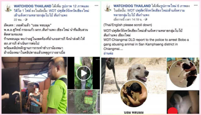 "บอม หลบมุม" ปัดเป็นคนในคลิป "ข่มขืนสุนัข"