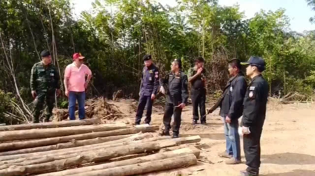 อึ้งพี่ชายส.ส.เพื่อไทยครอบครองที่ป่าแหว่งเพชรบูรณ์