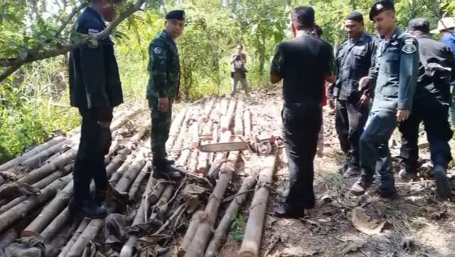 อึ้งพี่ชายส.ส.เพื่อไทยครอบครองที่ป่าแหว่งเพชรบูรณ์