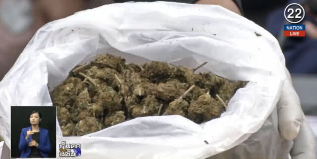 (คลิปข่าว) เตรียมปลดล็อคกัญชา เป็นยาเสพติดประเภท 2 ใช้ทางการแพทย์