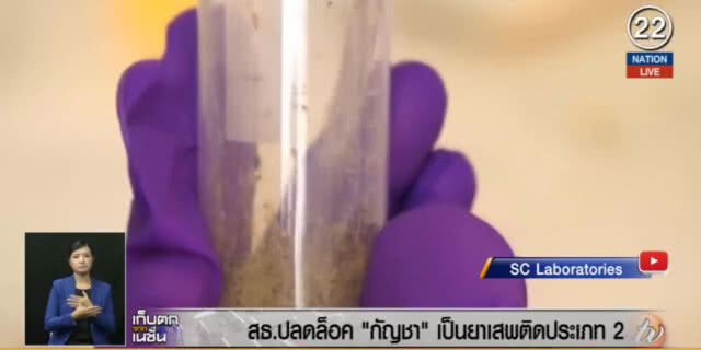 (คลิปข่าว) เตรียมปลดล็อคกัญชา เป็นยาเสพติดประเภท 2 ใช้ทางการแพทย์