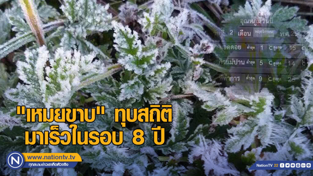 "เหมยขาบ" ทุบสถิติ มาเร็วในรอบ 8 ปี