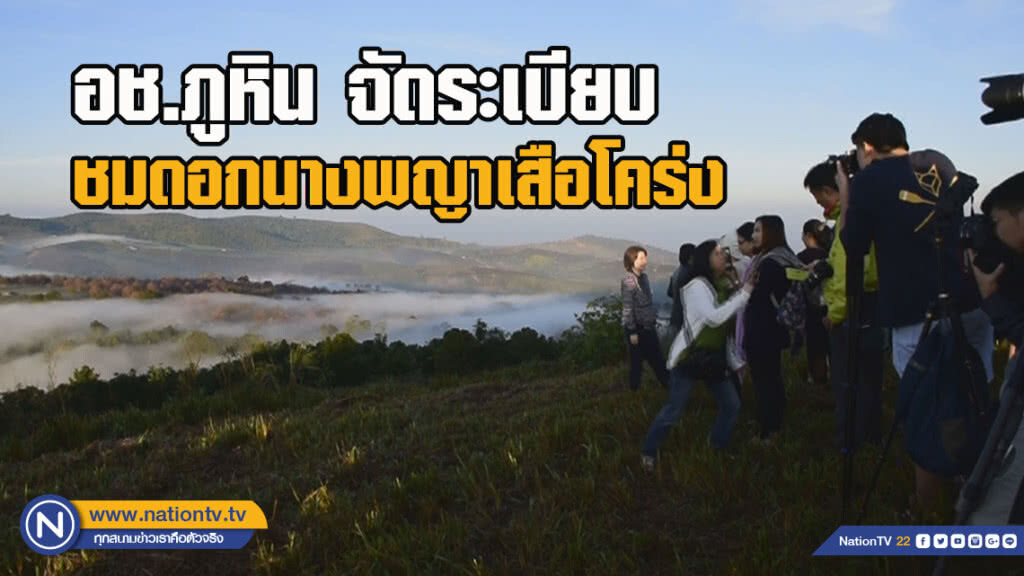 อช.ภูหินจัดระเบียบชมดอกนางพญาเสือโคร่ง