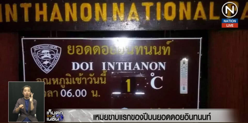 (คลิปข่าว) มาแล้ว!...เหมยขาบแรกของปี บนดอยอินทนนท์