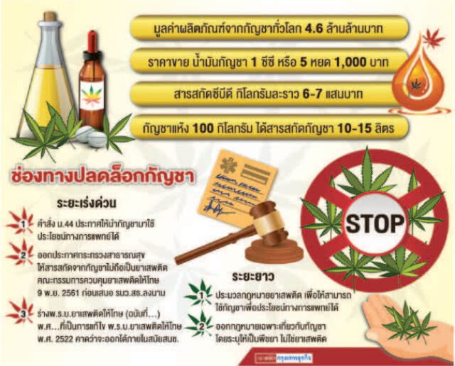 ไทยขยับปลดล็อก 'กัญชา'