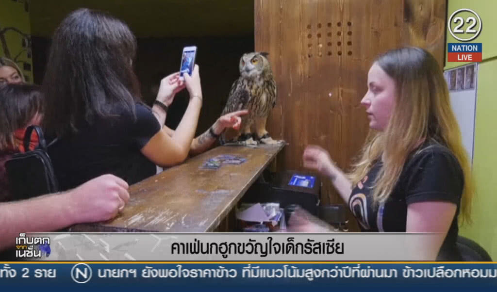 (คลิปข่าว) คาเฟ่นกฮูก ขวัญใจเด็กรัสเซีย