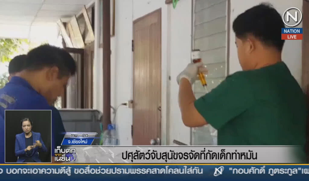 (คลิปข่าว) ปศุสัตว์จับสุนัขจรจัดที่กัดเด็ก ทำหมัน