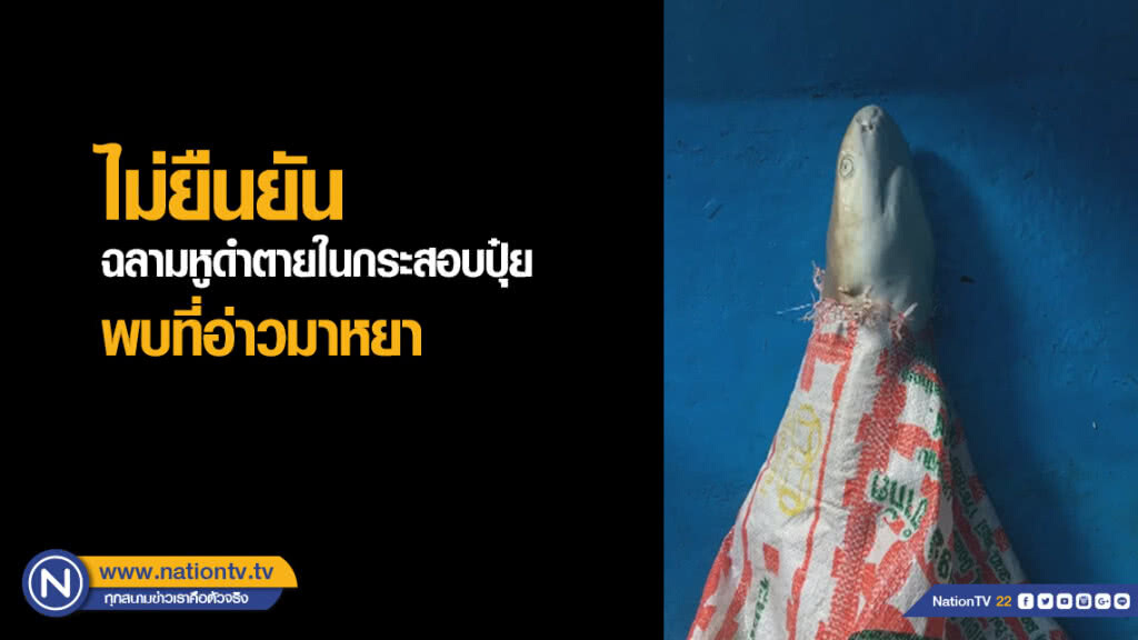 ไม่ยืนยัน ฉลามหูดำตายในกระสอบปุ๋ย พบที่อ่าวมาหยา