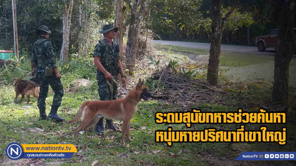 ระดมสุนัขทหารช่วยค้นหาหนุ่มหายปริศนาที่เขาใหญ่ ระดมสุนัขทหารช่วยค้นหาหนุ่มหายปริศนาที่เขาใหญ่