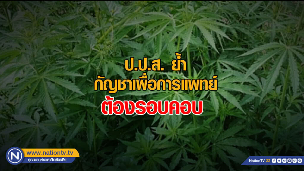 ป.ป.ส. ย้ำ กัญชาเพื่อการแพทย์ต้องรอบคอบ