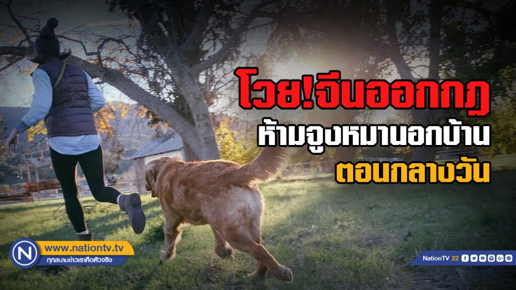 ชาวเน็ตโวยแหลก หลังจีนออกกฎห้ามพาสุนัขเดินเล่นตอนกลางวัน ชาวเน็ตโวยแหลก หลังจีนออกกฎห้ามพาสุนัขเดินเล่นตอนกลางวัน