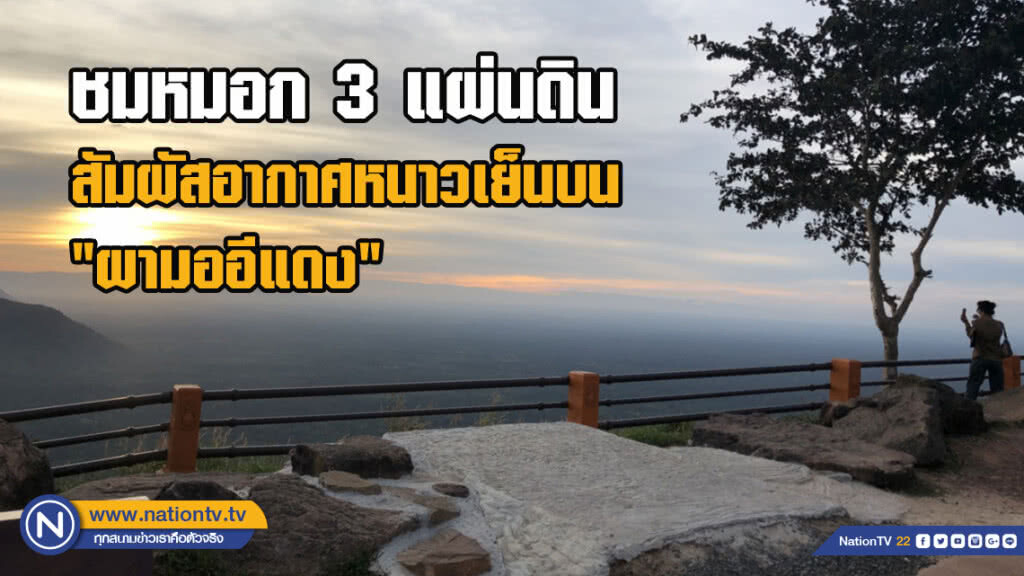 ชมหมอก 3 แผ่นดิน สัมผัสอากาศหนาวเย็นบน"ผามออีแดง"