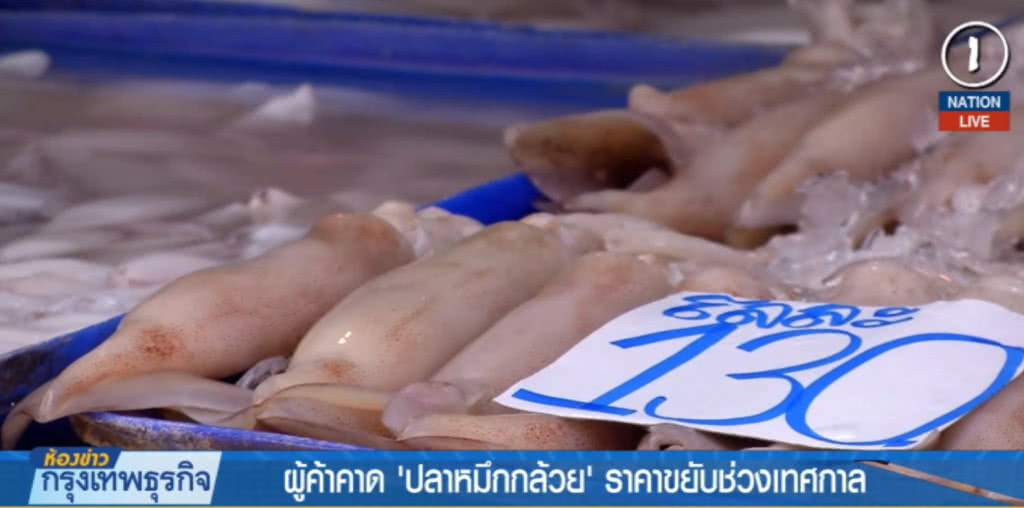 (คลิปข่าว) "ปลาหมึกกล้วย" ราคาตก ผู้ค้าคาดจะขยับช่วงเทศกาล