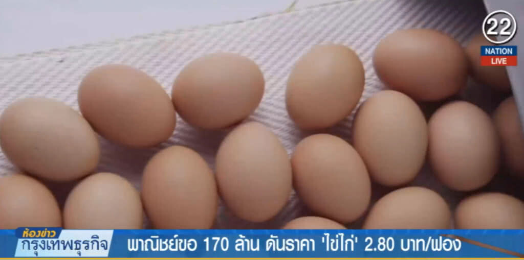 (คลิปข่าว) ไข่ไก่ราคาตก พาณิชย์ขอ 170 ล้าน อุ้ม! (คลิปข่าว) ไข่ไก่ราคาตก พาณิชย์ขอ 170 ล้าน อุ้ม!