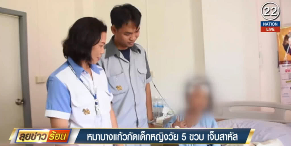 (คลิปข่าว) บางแก้วผสม...กัดเด็กหญิง 5 ขวบ เจ็บสาหัส (คลิปข่าว) บางแก้วผสม...กัดเด็กหญิง 5 ขวบ เจ็บสาหัส