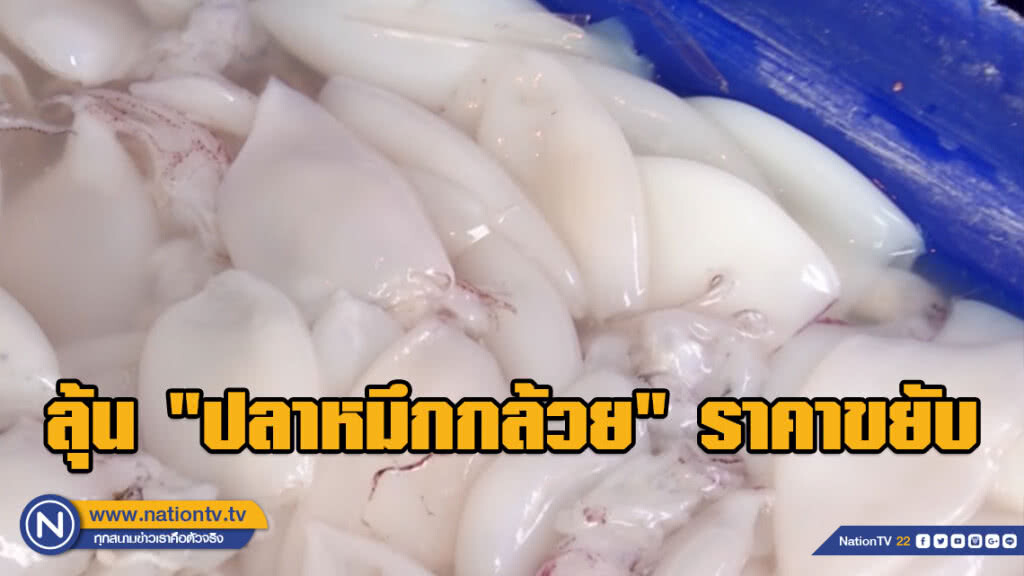 ลุ้น "ปลาหมึกกล้วย" ราคาขยับ