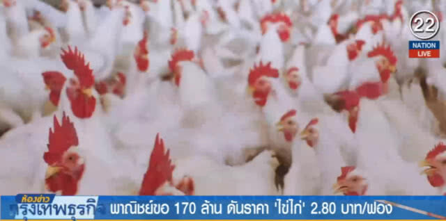 (คลิปข่าว) ไข่ไก่ราคาตก พาณิชย์ขอ 170 ล้าน อุ้ม!
