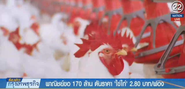 (คลิปข่าว) ไข่ไก่ราคาตก พาณิชย์ขอ 170 ล้าน อุ้ม!
