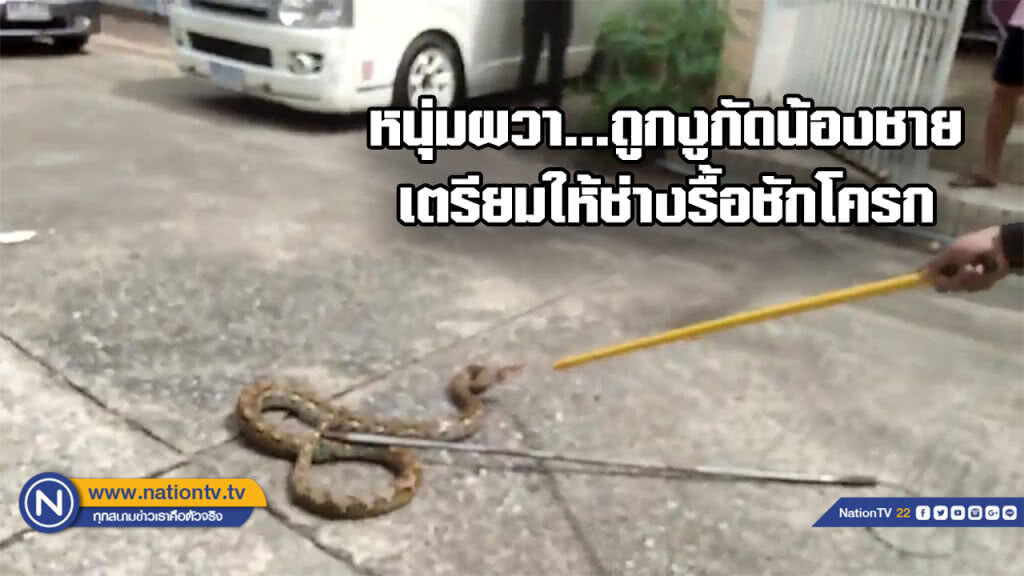 หนุ่งผวาหนักถูกงูกัด "น้องชาย" เตรียมรื้อชักโครกห้องน้ำ