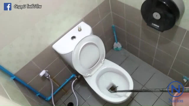 หนุ่งผวาหนักถูกงูกัด "น้องชาย" เตรียมรื้อชักโครกห้องน้ำ