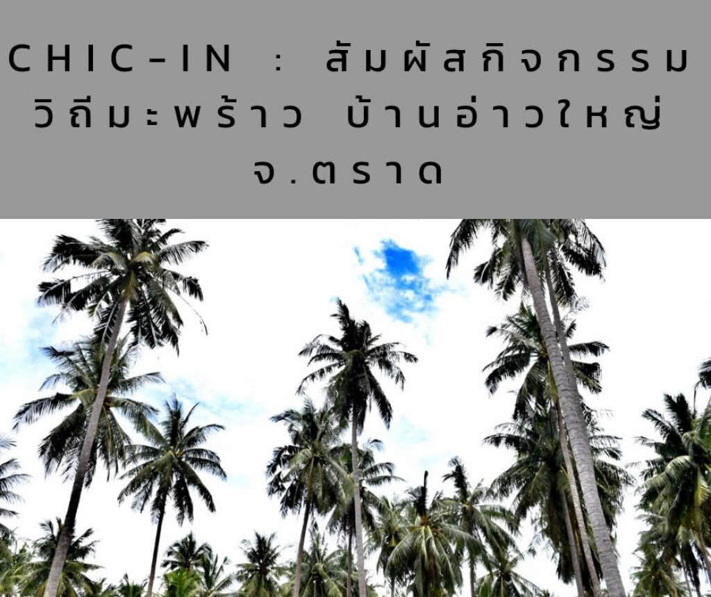 Chic-in : สัมผัสกิจกรรม วิถีมะพร้าว บ้านอ่าวใหญ่ จ.ตราด Chic-in : สัมผัสกิจกรรม วิถีมะพร้าว บ้านอ่าวใหญ่ จ.ตราด