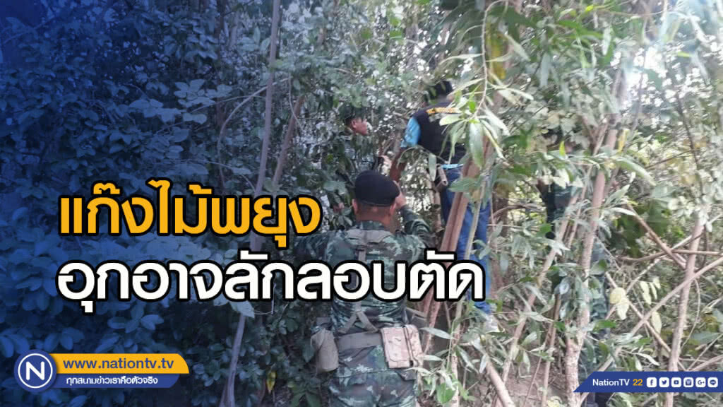 แก๊งไม้พยุงอุกอาจลักลอบตัด ทหารสกัดไว้ได้คนร้ายเผ่นหนี
