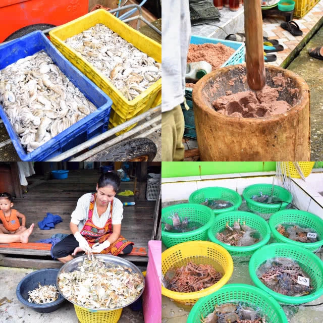 Chic-in : ท่องเที่ยวแนวนิเวศพิพิธภัณฑ์ ที่ชุมชนบ้านไม้รูด จ.ตราด