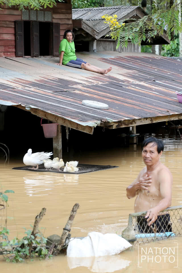 ทุกข์ที่มากับน้ำท่วม ชุมพรระทม