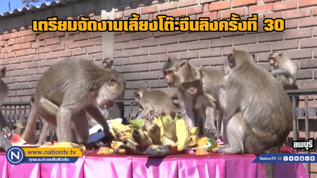 รองผู้ว่าแถลงข่าวเตรียมจัดงานเลี้ยงโต๊ะจีนลิงครั้งที่30