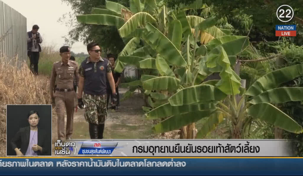 (คลิปข่าว) กรมอุทยานยืนยัน รอยเท้าสัตว์เลี้ยง (คลิปข่าว) กรมอุทยานยืนยัน รอยเท้าสัตว์เลี้ยง