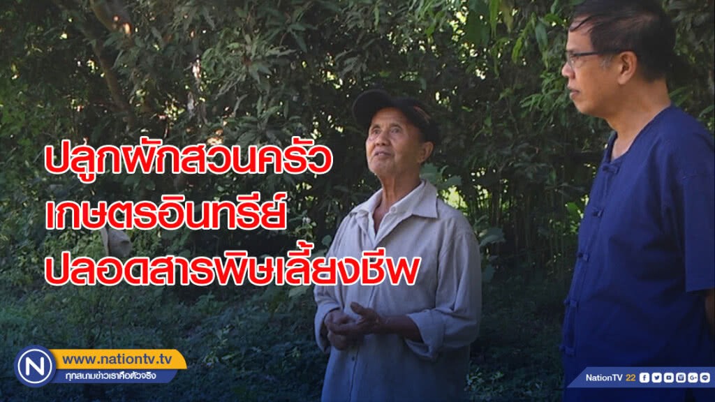 สองสามีภรรยา ปลูกผักสวนครัวเกษตรอินทรีย์ปลอดสารพิษเลี้ยงชีพสร้างรายได้