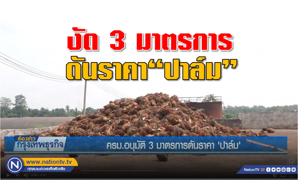ครม.อนุมัติ 3 มาตรการดันราคา 'ปาล์ม'