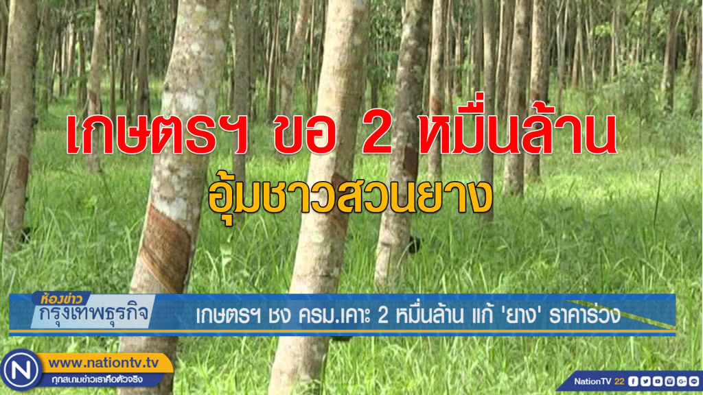 เกษตรฯ ชงครม.เคาะ 2 หมื่นล้าน แก้'ยาง'ราคาร่วง