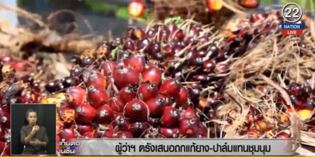 (คลิปข่าว) ผู้ว่าฯ ตรัง เสนอถกแก้ยาง ปาล์ม แทนการชุมนุม