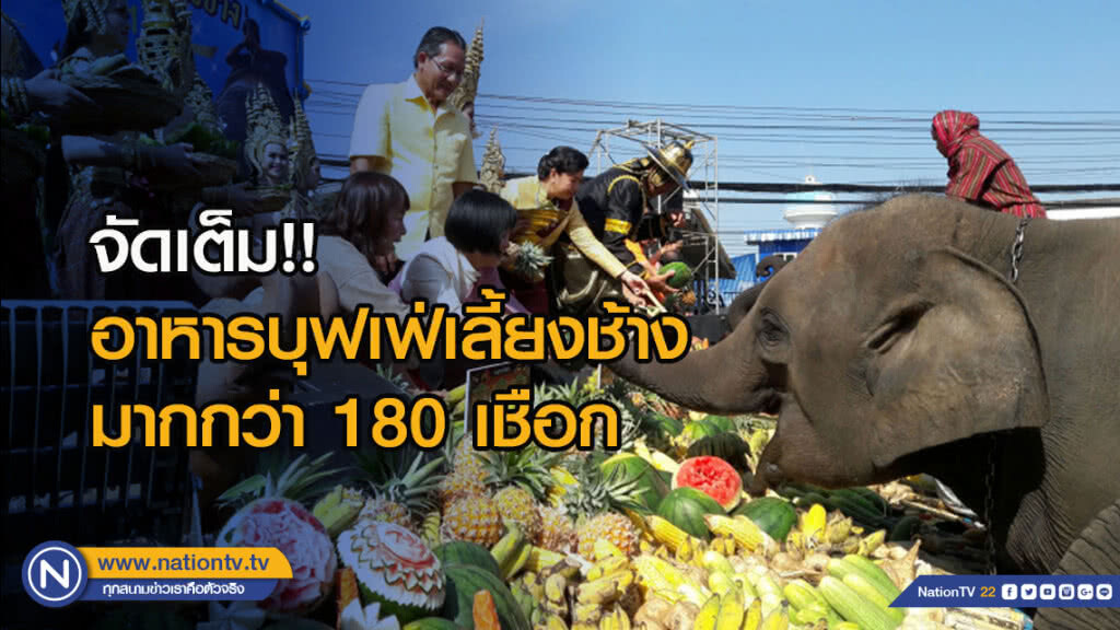 จัดเต็ม!! อาหารบุฟเฟ่เลี้ยงช้างมากกว่า 180 เชือก จัดเต็ม!! อาหารบุฟเฟ่เลี้ยงช้างมากกว่า 180 เชือก
