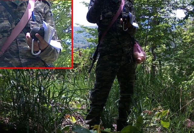 "ศรีวราห์" ยันอาก้ายิงช้าง ไม่มีในราชการไทย