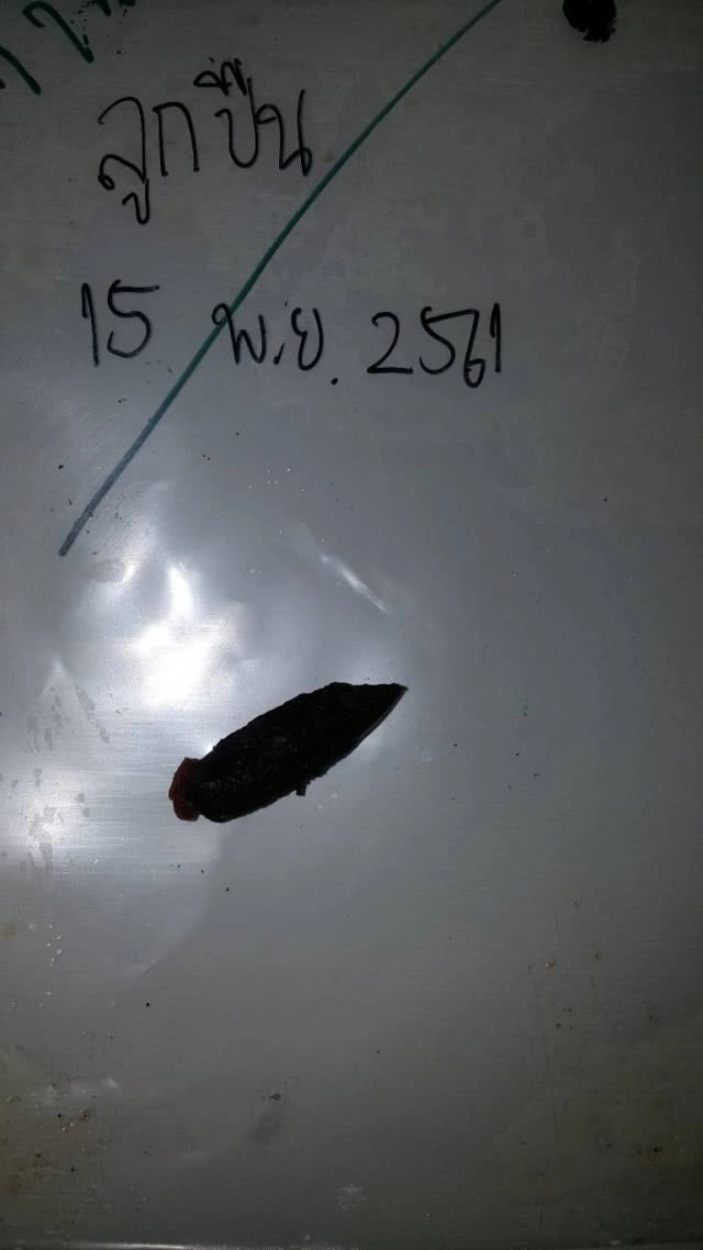 "ศรีวราห์" ยันอาก้ายิงช้าง ไม่มีในราชการไทย