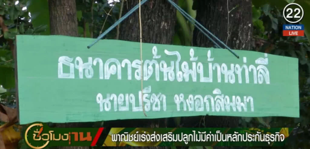 (คลิปข่าว) พาณิชย์เร่งส่งเสริมปลูกไม้มีค่าเป็นหลักประกันธุรกิจ