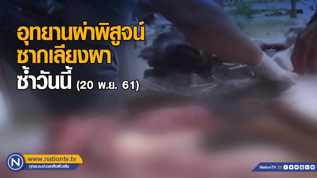 อุทยานผ่าพิสูจน์ซากเลียงผาซ้ำวันนี้ อุทยานผ่าพิสูจน์ซากเลียงผาซ้ำวันนี้