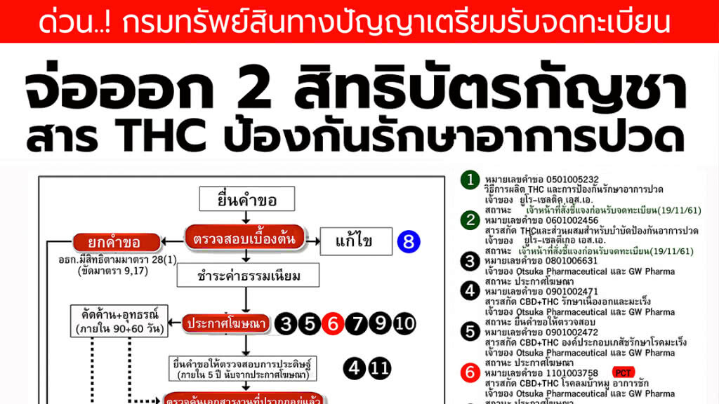 BIOTHAI แฉเพิ่ม พณ.แถลงยกเลิก 1 คำขอสิทธิบัตรกัญชา แต่หน้าเว็บกรม เตรียมให้ 2 สิทธิบัตร